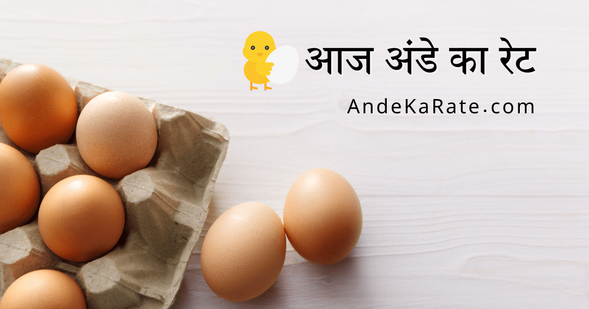 Ande Ka Rate: आज अंडे का रेट देखें  -  Today Egg Rate In India